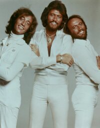 http://bertrand2000.free.fr/bee-gees-photo.jpg